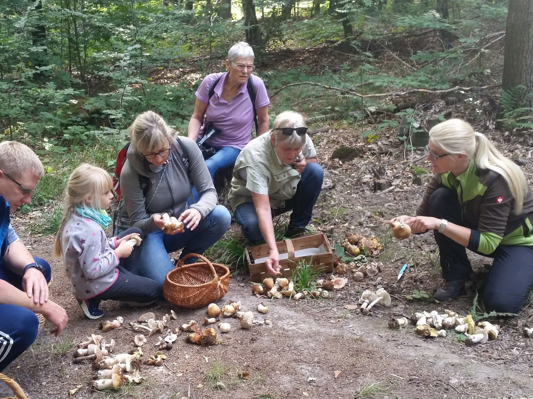 Pilzlehrwanderung 04.10.26 ZIEGELRODAER FORST